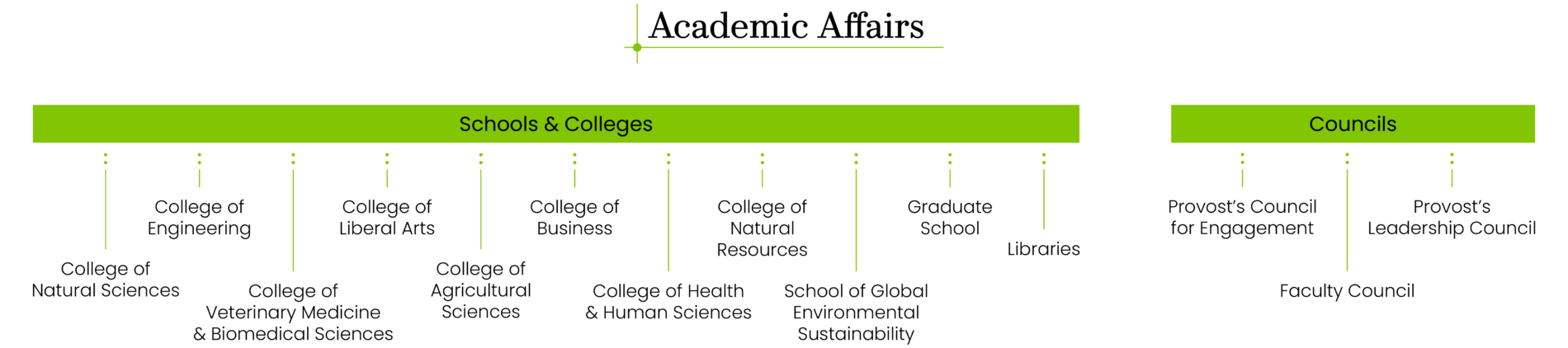 Provost Office Academic Units Organizational Graphic