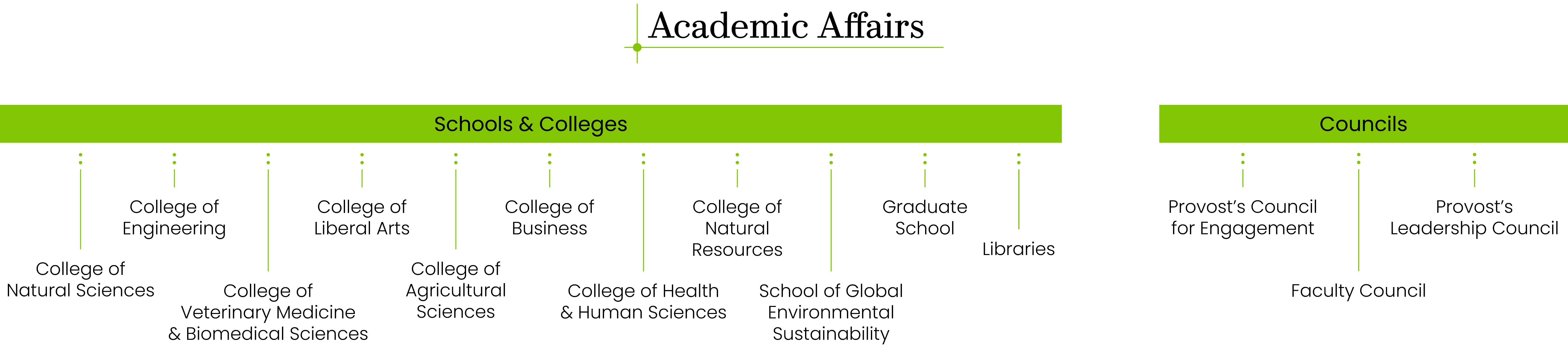 Provost Office Academic Units Organizational Graphic